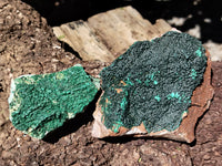 Natural Botryoidal Malachite Specimens x 4 From Congo