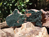 Natural Botryoidal Malachite Specimens x 4 From Congo