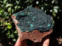 Natural Botryoidal Malachite Specimens x 4 From Congo