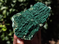 Natural Botryoidal Malachite Specimens x 4 From Congo