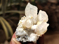 Natural Drusy Quartz Coated Calcite Pseudomorph Specimens x 20 From Lesotho