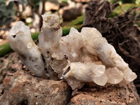 Natural Drusy Quartz Coated Calcite Pseudomorph Specimens x 20 From Lesotho