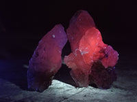 Natural Drusy Quartz Coated Calcite Pseudomorph Specimens x 20 From Lesotho