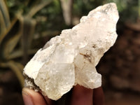 Natural Drusy Quartz Coated Calcite Pseudomorph Specimens x 20 From Lesotho