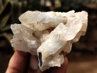 Natural Drusy Quartz Coated Calcite Pseudomorph Specimens x 20 From Lesotho