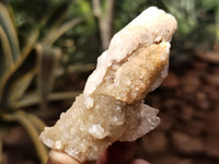 Natural Drusy Quartz Coated Calcite Pseudomorph Specimens x 20 From Lesotho