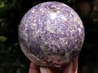 Polished Lepidolite with Pink Rubellite Spheres x 2 From Madagascar