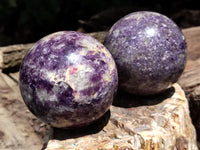 Polished Lepidolite with Pink Rubellite Spheres x 2 From Madagascar