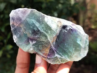 Polished On One Side Watermelon Fluorite x 10 From Uis, Namibia