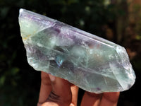 Polished On One Side Watermelon Fluorite x 10 From Uis, Namibia