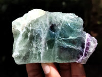 Polished On One Side Watermelon Fluorite x 10 From Uis, Namibia