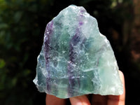 Polished On One Side Watermelon Fluorite x 10 From Uis, Namibia