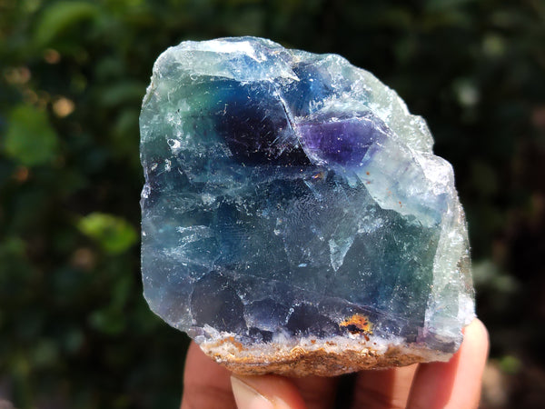 Polished On One Side Watermelon Fluorite x 10 From Uis, Namibia