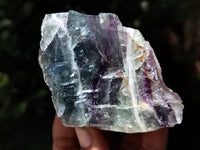 Polished On One Side Watermelon Fluorite x 10 From Uis, Namibia