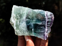 Polished On One Side Watermelon Fluorite x 10 From Uis, Namibia