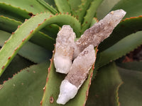 Natural Drusy Quartz Coated Calcite Pseudomorph Specimens x 35 From Lesotho