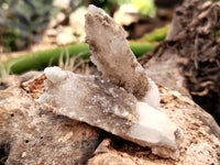 Natural Drusy Quartz Coated Calcite Pseudomorph Specimens x 35 From Lesotho