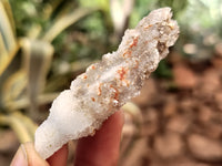 Natural Drusy Quartz Coated Calcite Pseudomorph Specimens x 35 From Lesotho