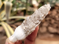 Natural Drusy Quartz Coated Calcite Pseudomorph Specimens x 35 From Lesotho