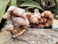 Natural Amethyst Spirit Quartz Clusters x 6 From Boekenhouthoek, South Africa