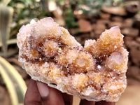 Natural Amethyst Spirit Quartz Clusters x 6 From Boekenhouthoek, South Africa