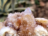 Natural Amethyst Spirit Quartz Clusters x 6 From Boekenhouthoek, South Africa