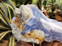 Natural Blue Lace Agate Geode Specimens x 2 From Malawi