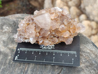 Natural Spirit Quartz Clusters x 6 From Boekenhouthoek, South Africa