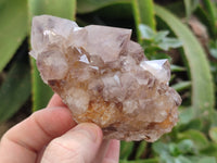 Natural Spirit Quartz Clusters x 6 From Boekenhouthoek, South Africa