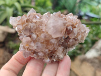 Natural Spirit Quartz Clusters x 6 From Boekenhouthoek, South Africa