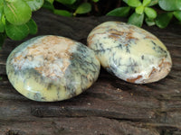 Polished Dendritic Opal Palm Stones x 12 From Moralambo, Madagascar