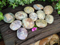 Polished Dendritic Opal Palm Stones x 12 From Moralambo, Madagascar