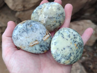 Polished Dendritic Opal Palm Stones x 12 From Moralambo, Madagascar