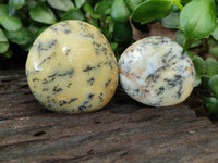 Polished Dendritic Opal Palm Stones x 12 From Moralambo, Madagascar