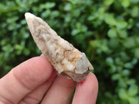 Natural Drusy Quartz Coated Calcite Pseudomorph Specimens x 70 From Lesotho