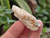 Natural Drusy Quartz Coated Calcite Pseudomorph Specimens x 70 From Lesotho