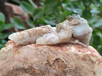 Natural Drusy Quartz Coated Calcite Pseudomorph Specimens x 70 From Lesotho