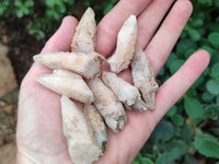 Natural Drusy Quartz Coated Calcite Pseudomorph Specimens x 70 From Lesotho