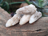 Natural Drusy Quartz Coated Calcite Pseudomorph Specimens x 70 From Lesotho