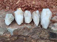 Natural Drusy Quartz Coated Calcite Pseudomorph Specimens x 70 From Lesotho