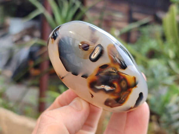 Polished Dendritic Agate Standing Free Forms x 6 From Madagascar