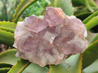 Natural Jacaranda Amethyst Quartz Clusters x 3 from Mumbwa, Zambia