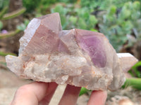 Natural Jacaranda Amethyst Quartz Clusters x 3 from Mumbwa, Zambia