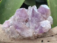 Natural Jacaranda Amethyst Quartz Clusters x 3 from Mumbwa, Zambia