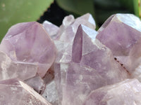 Natural Jacaranda Amethyst Quartz Clusters x 3 from Mumbwa, Zambia