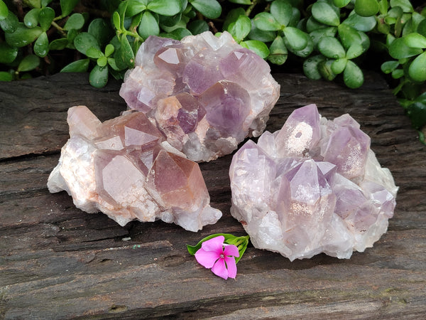 Natural Jacaranda Amethyst Quartz Clusters x 3 from Mumbwa, Zambia