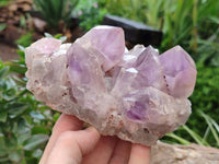 Natural Jacaranda Amethyst Quartz Clusters x 3 from Mumbwa, Zambia