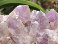 Natural Jacaranda Amethyst Quartz Clusters x 3 from Mumbwa, Zambia