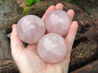 Polished Rose Quartz Spheres x 6 From Ambatondrazaka, Madagascar