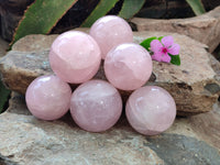 Polished Rose Quartz Spheres x 6 From Ambatondrazaka, Madagascar